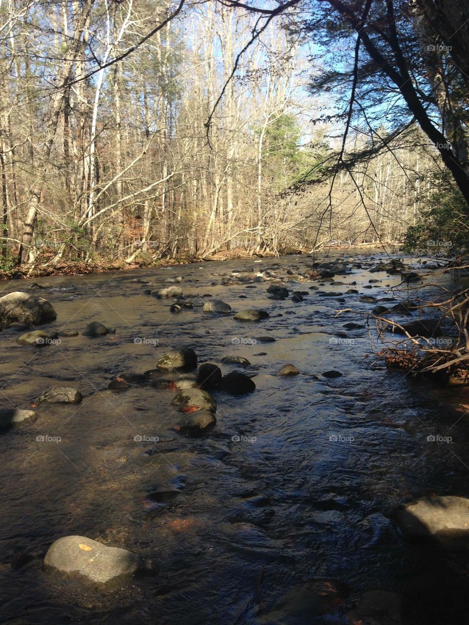 Allow your senses to feel the cool creek as it cleanses the fiery soul and soothes the weary mind. 