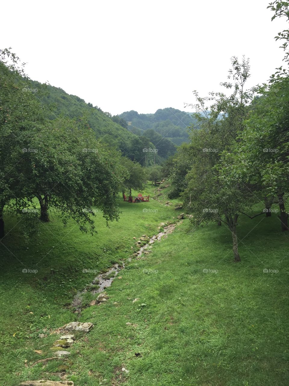 North Carolina mountain. At a blueberry picking farm. In NC