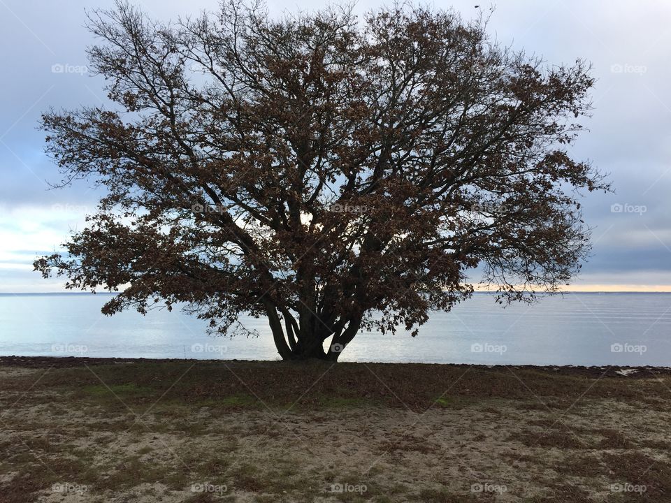 At Vita Sand Kalmarsund 