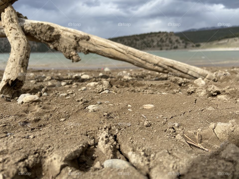 Beach wood at a lake in Colorado 