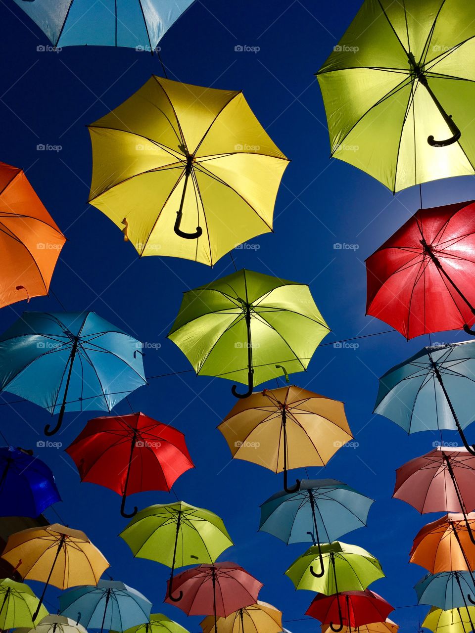 artistic representation with umbrellas in Novigrad, Croatia