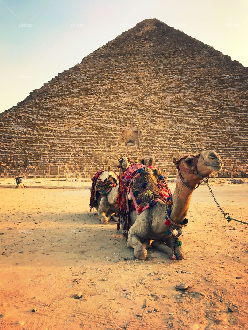 The Great Pyramids of Egypt 