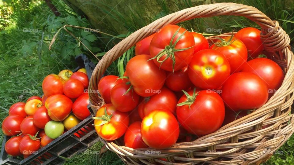 From farm to kitchen.