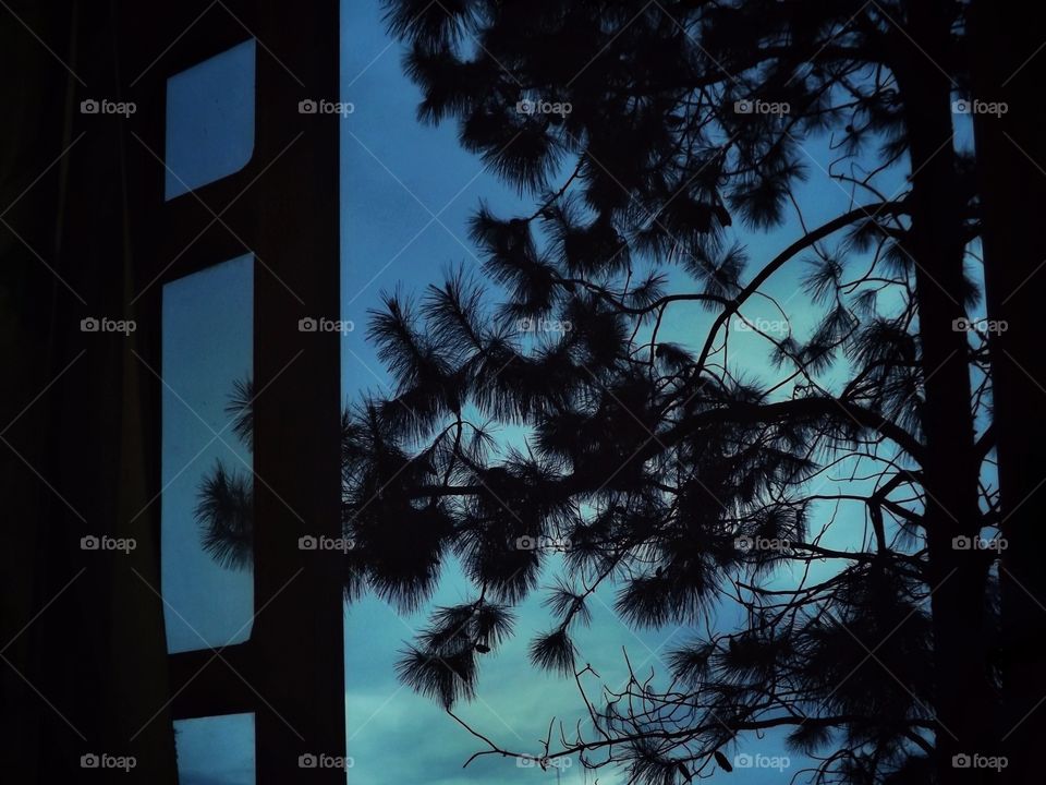 view from the window at dusk