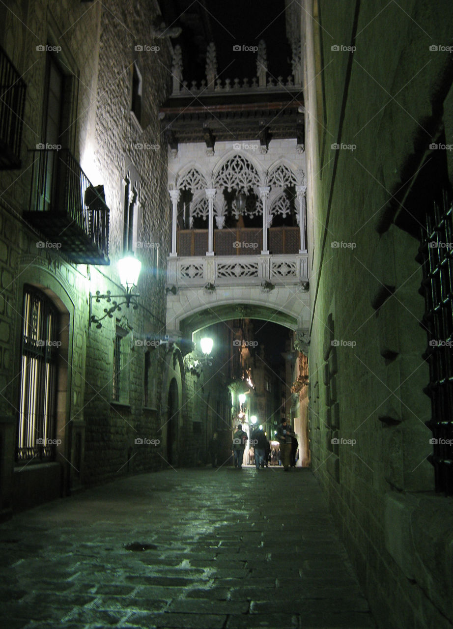 Barcelona by night . Gothic Barcelona