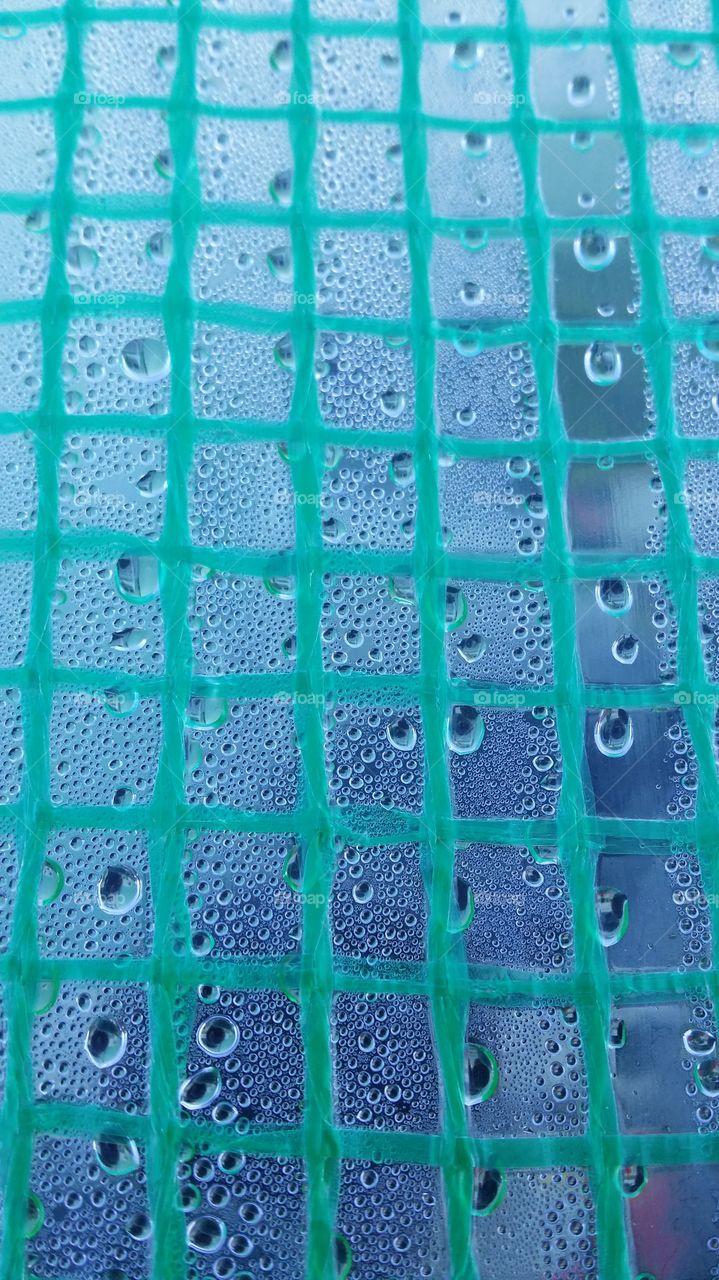 condensation. My mom has a greenhouse in our back yard