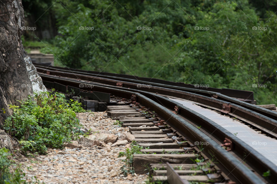 Railway in the forest 