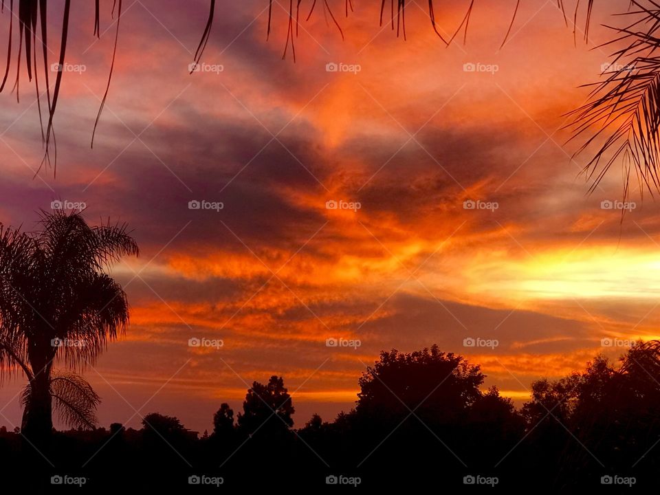 SUNSET OVER SAN DIEGO