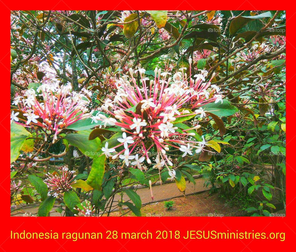 Indonesia ragunan 28 march 2018 JESUSministries.org