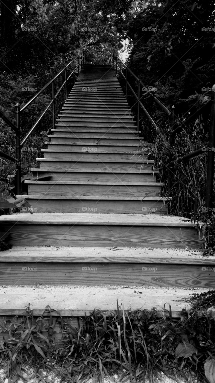 stairs. Stairs in the park