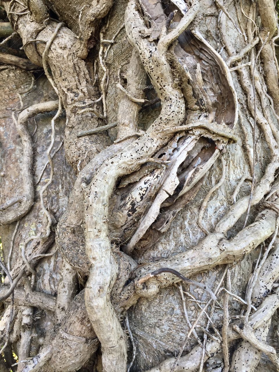 Let’s get abstract 