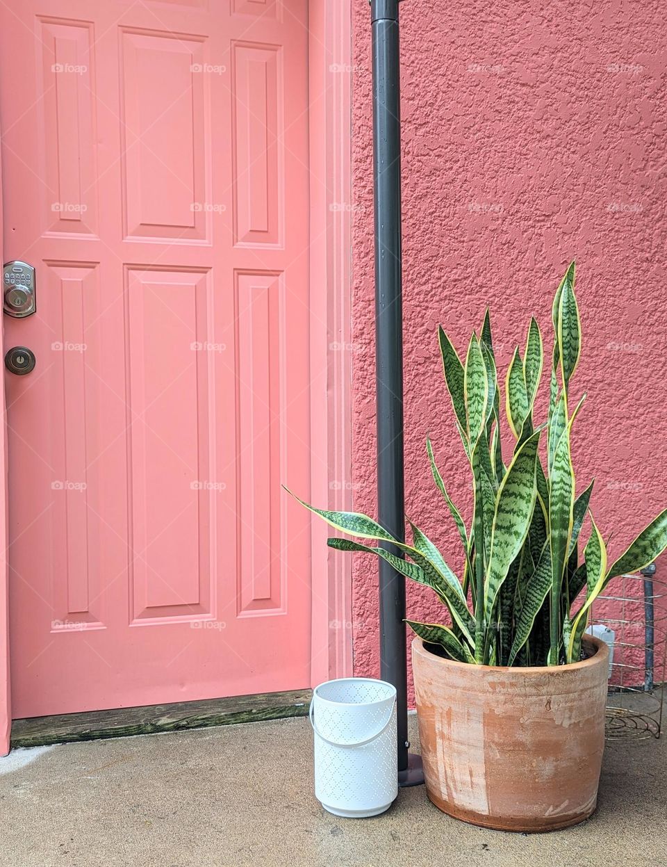 outdoor patio pink wall green outdoor plants southwest style decor terracotta patio vibes