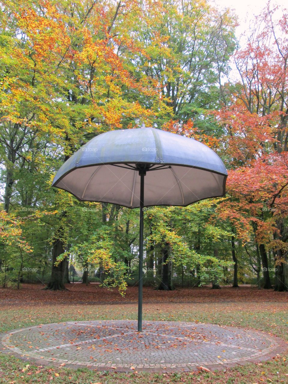 Umbrella in the park