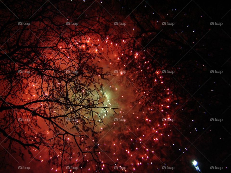 Fogos de artifício vistos através de uma árvore, de baixo pra cima.