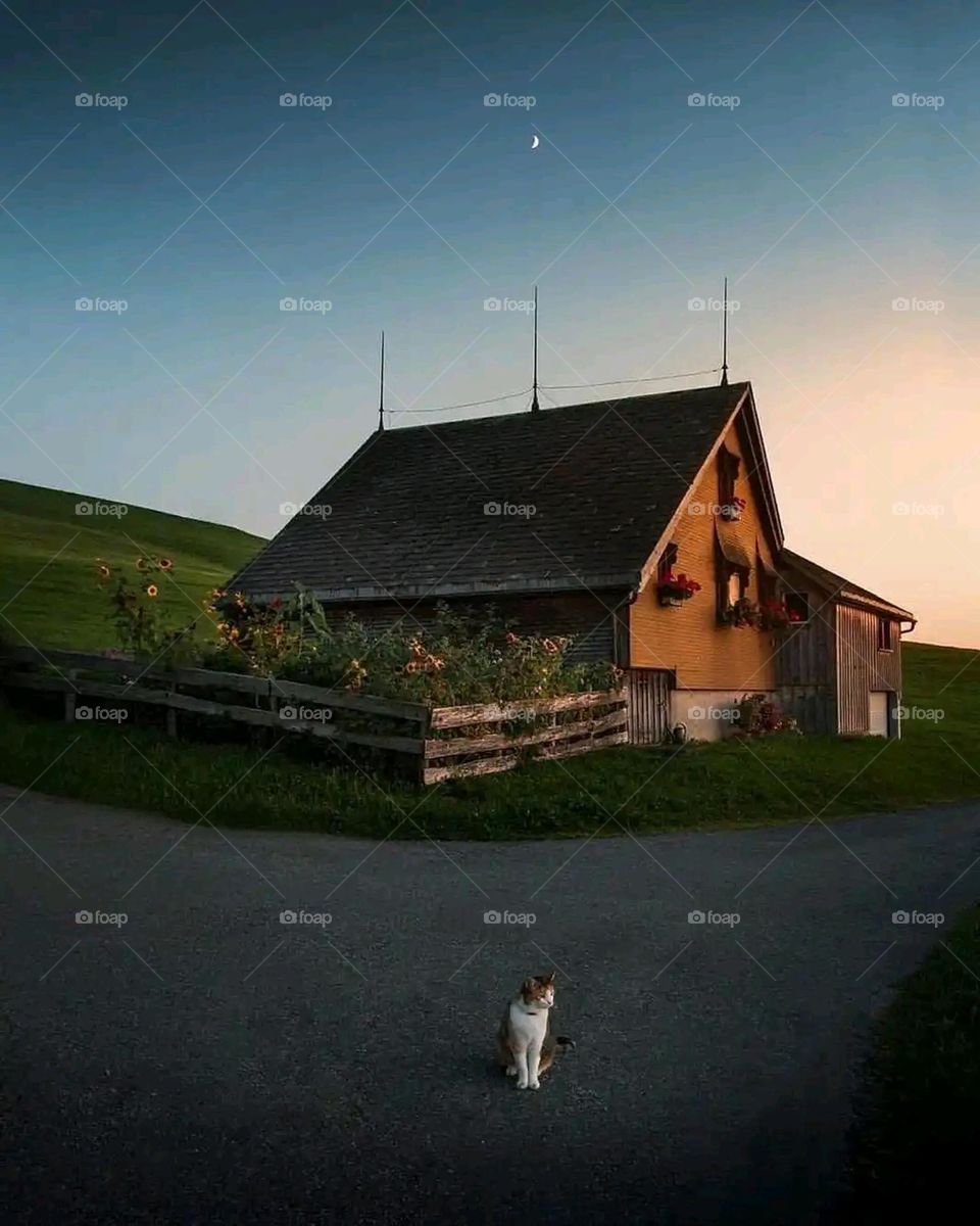 Glory be to God, the magnificent and picturesque view and the natural green trees are a view that is nothing more wonderful than it