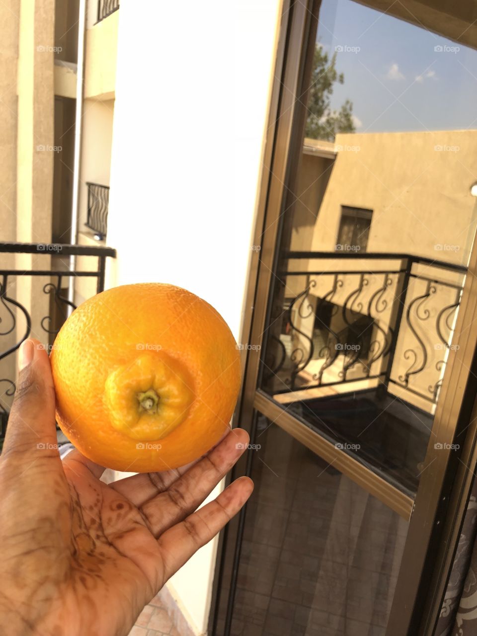 Juicy African orange 