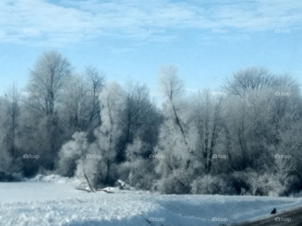 Winter, Snow, Frost, Cold, Frozen