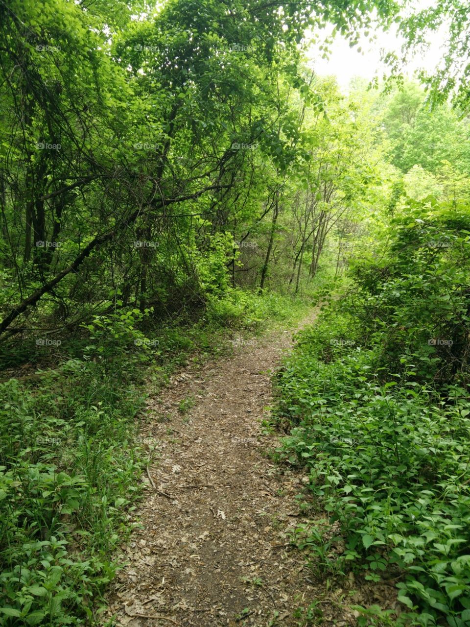 What's Beyond the Yellow Brick Road?