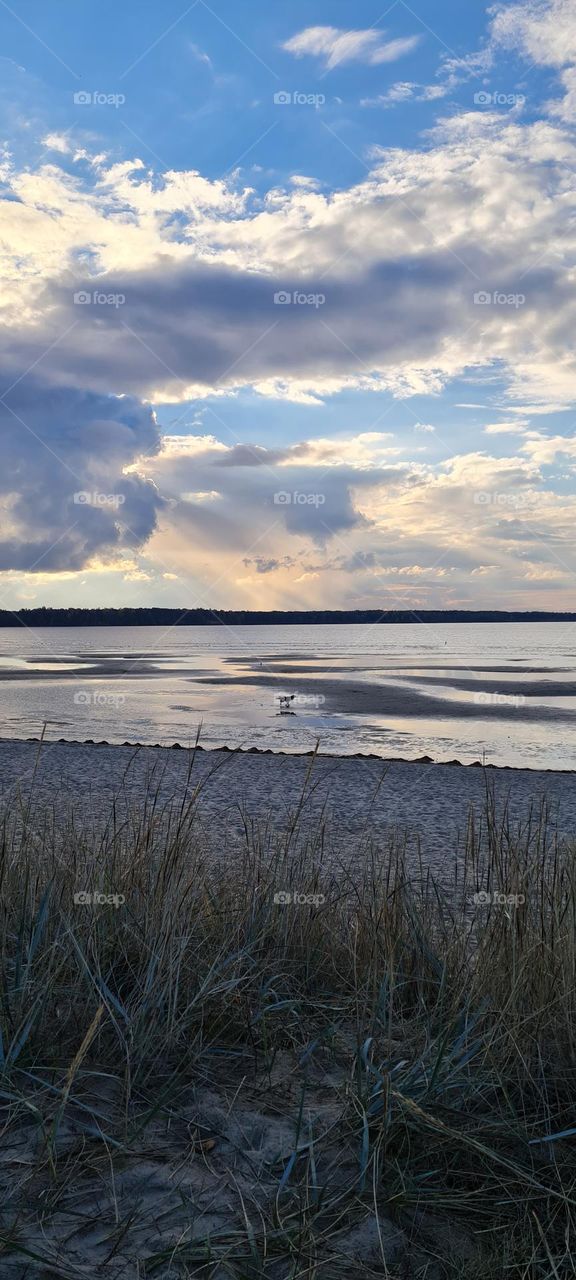 A dog running in the distance across the sea, dark clouds 