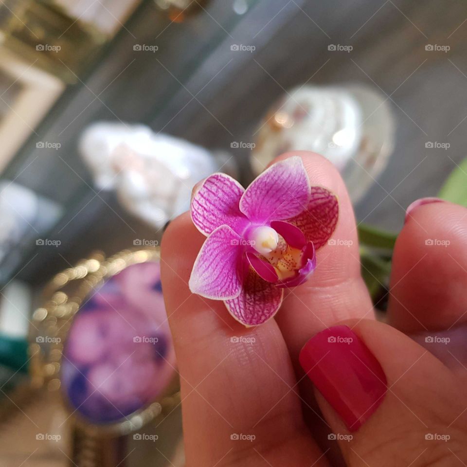 Olhar mais atento às sutilezas da vida