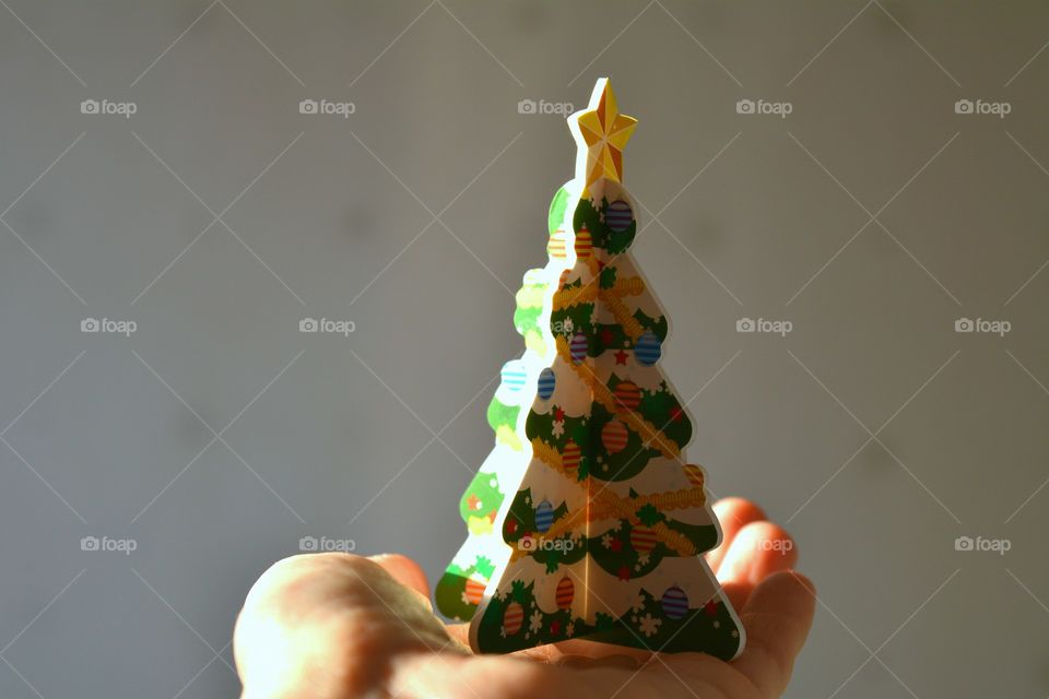 Christmas tree symbol New year in the hand in the solar light