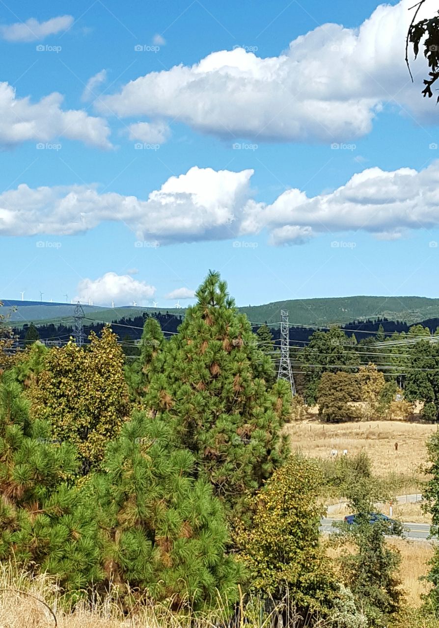 Breezy Autumn 
took picture from my front yard on a ladder when I saw this one cloud darkening one spot in the valley.