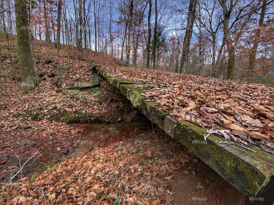 A Bridge Not Travelled 