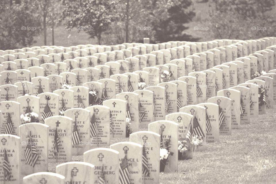 memorial day. cemetery 
