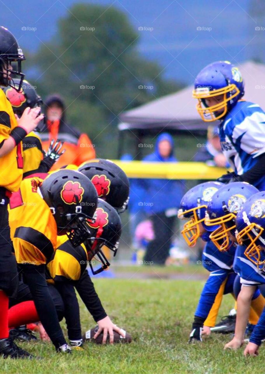 Cats vs Dogs. Youth football game.  Cougars vs. Mad Dawgs. 