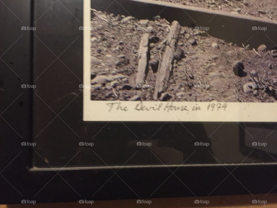 No Person, Food, Mammal, Museum, Landscape