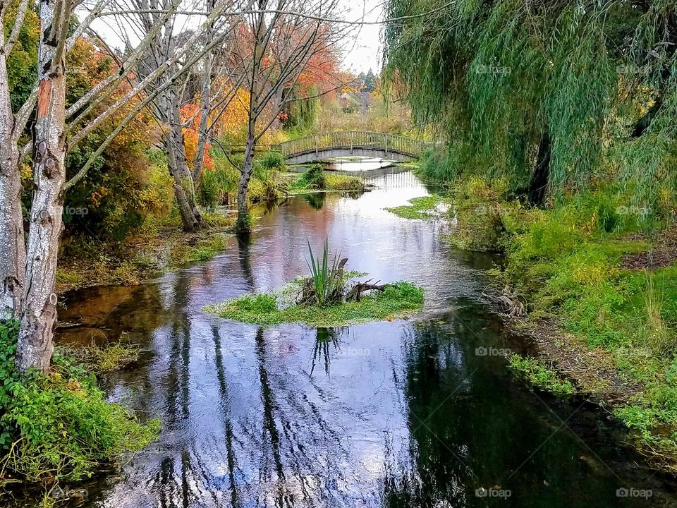 Arched Bridge