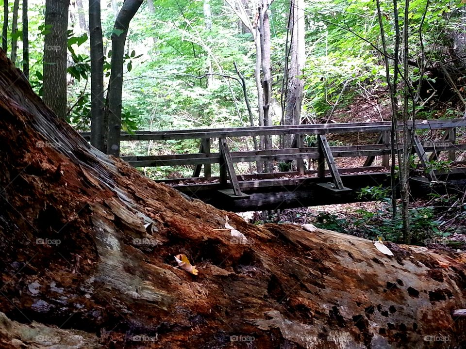 Hiking in southwestern Virginia