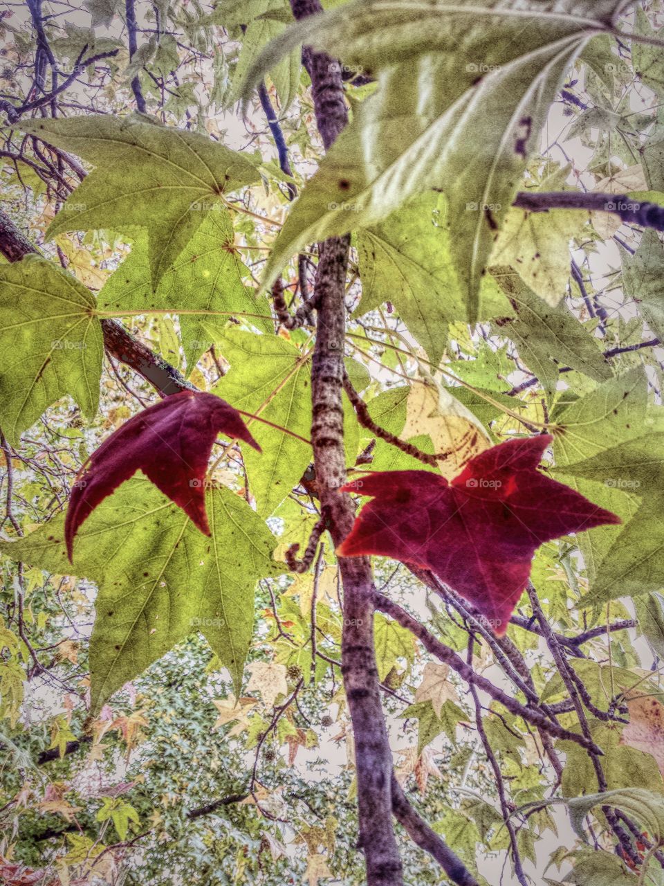 changing perspective