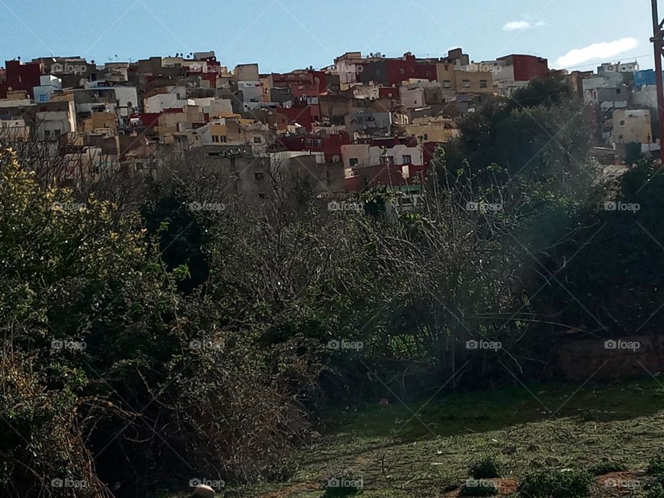 Population between the nature