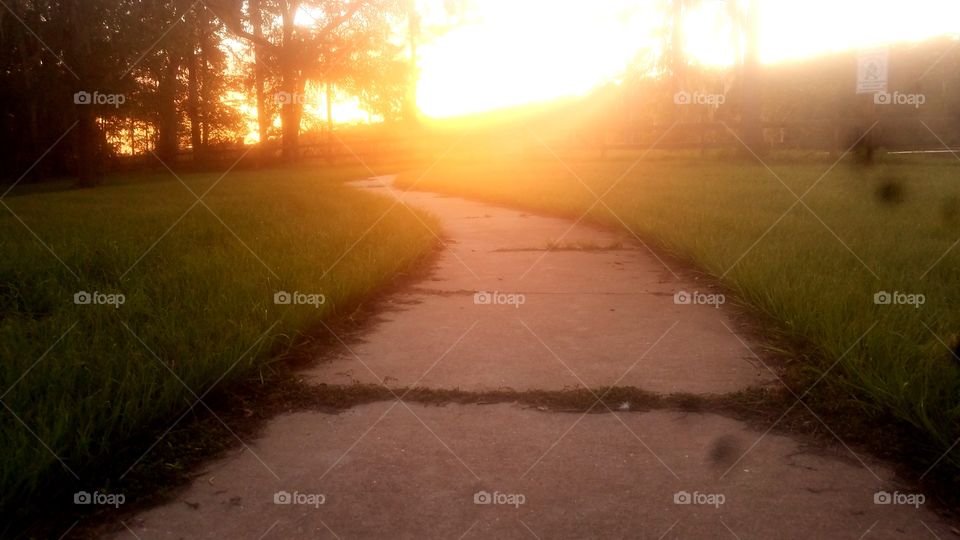 Road, Landscape, Sunset, Dawn, No Person