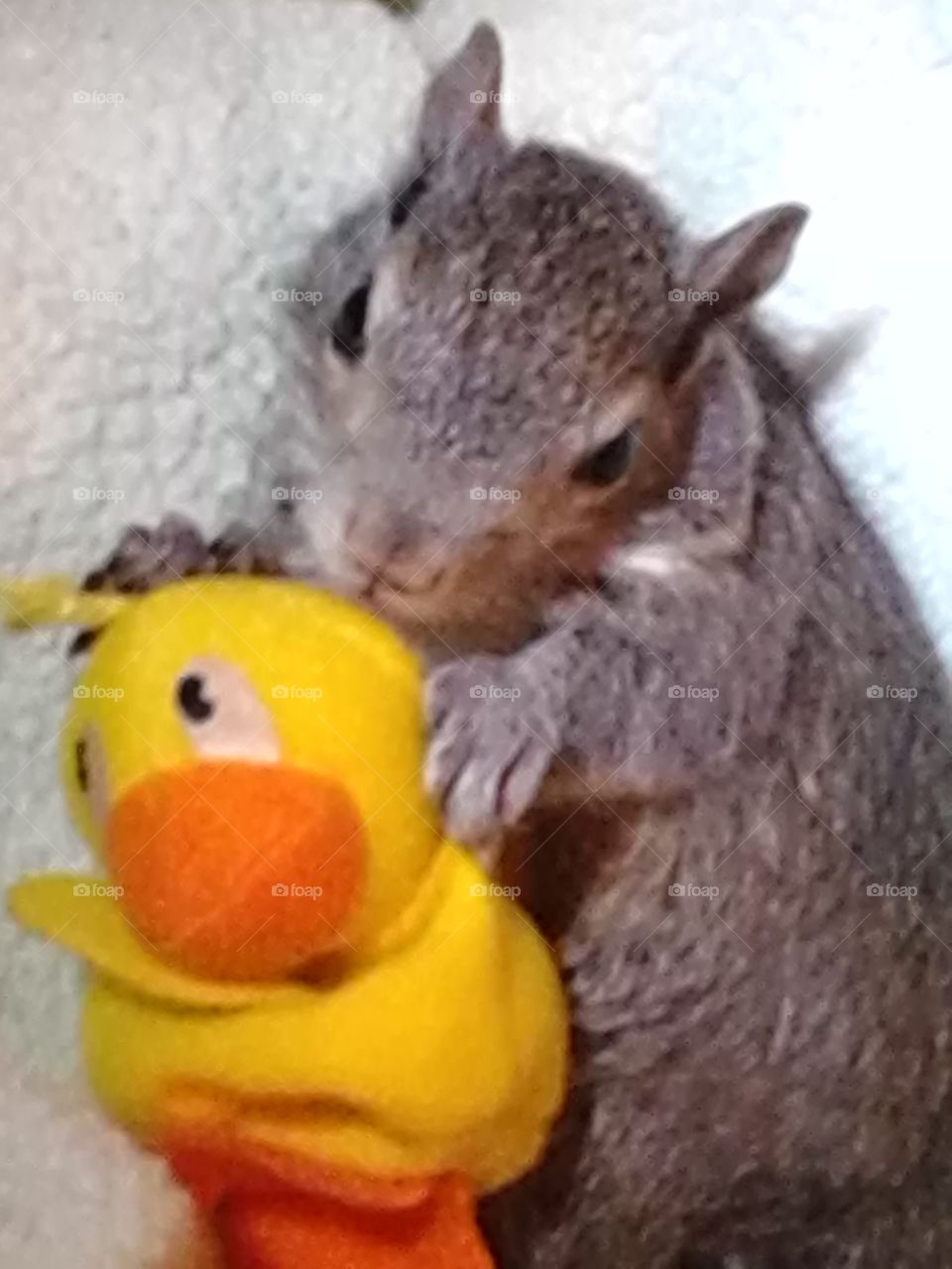 Hope and her Duck