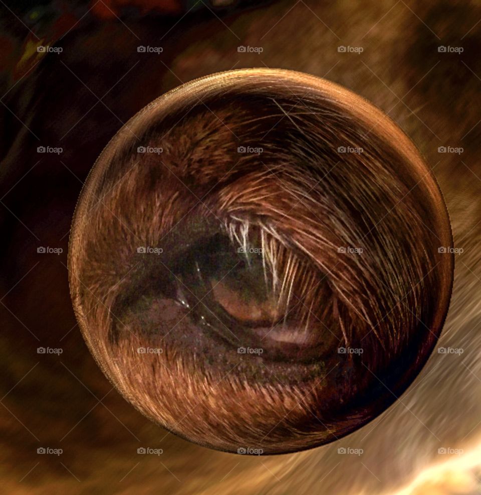 Eyes are the path to the soul