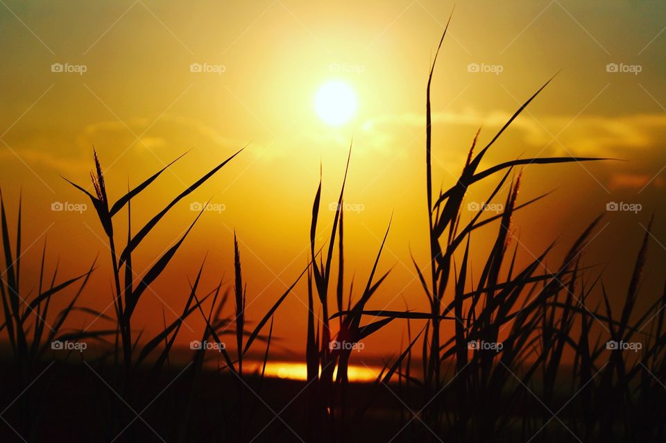 High angle view of nature