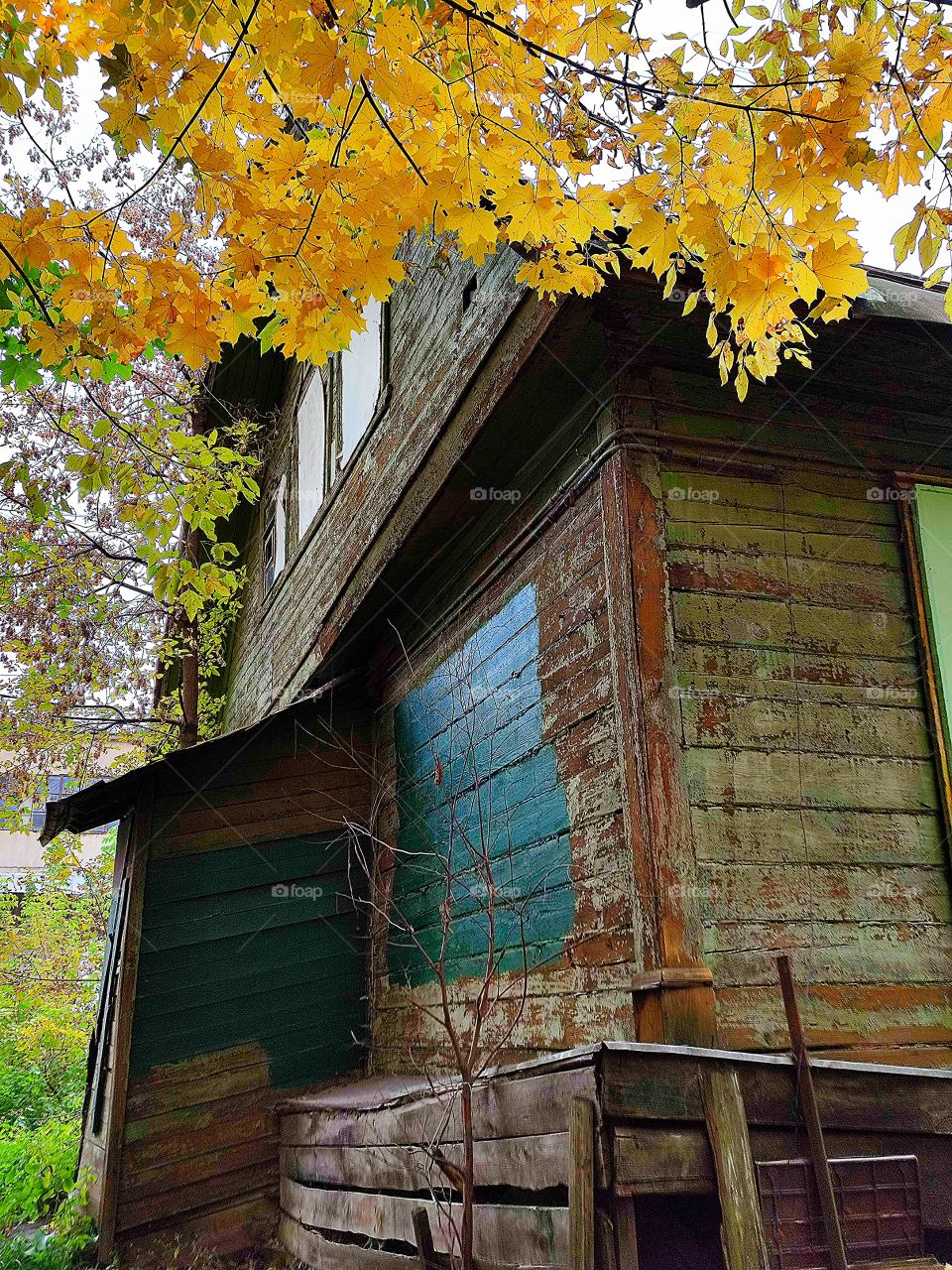 Autumn.  Old wooden house and colorful autumn trees around