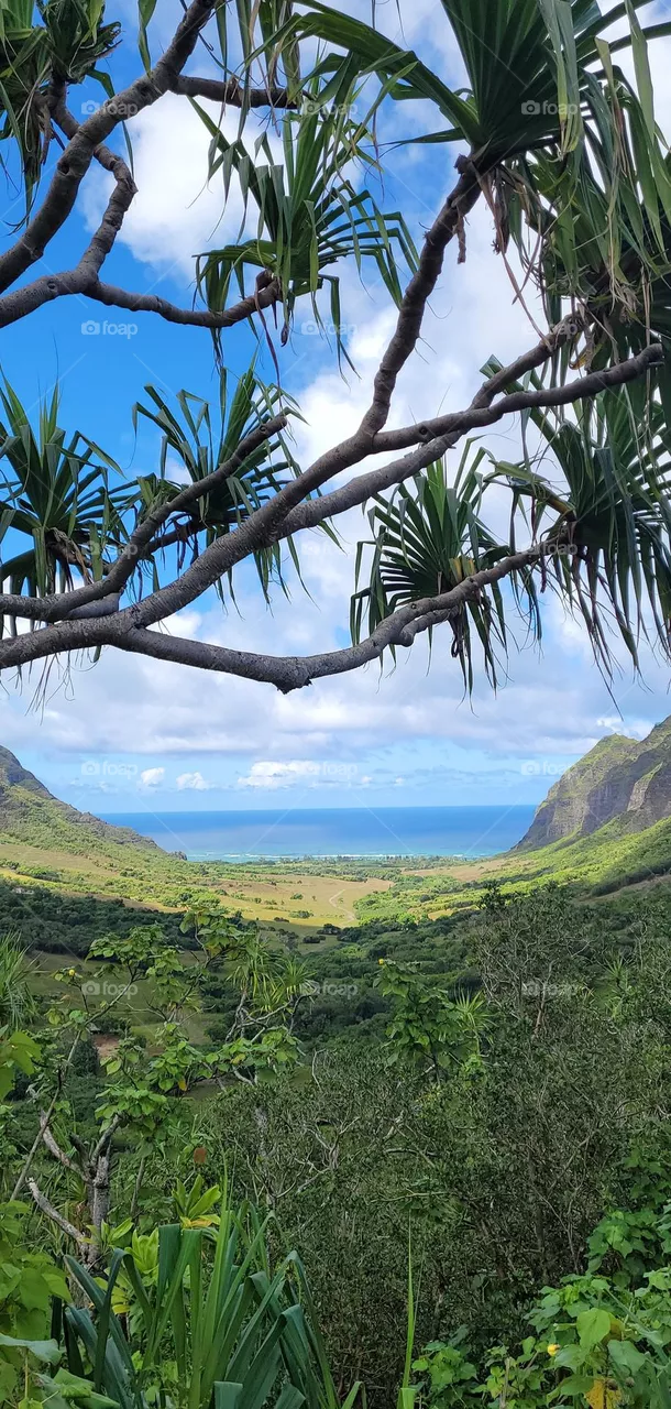 Hawaii Hiking View