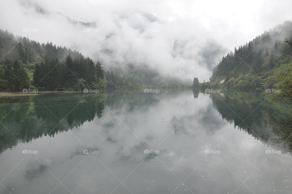 Misty lake with beautiful forest reflections