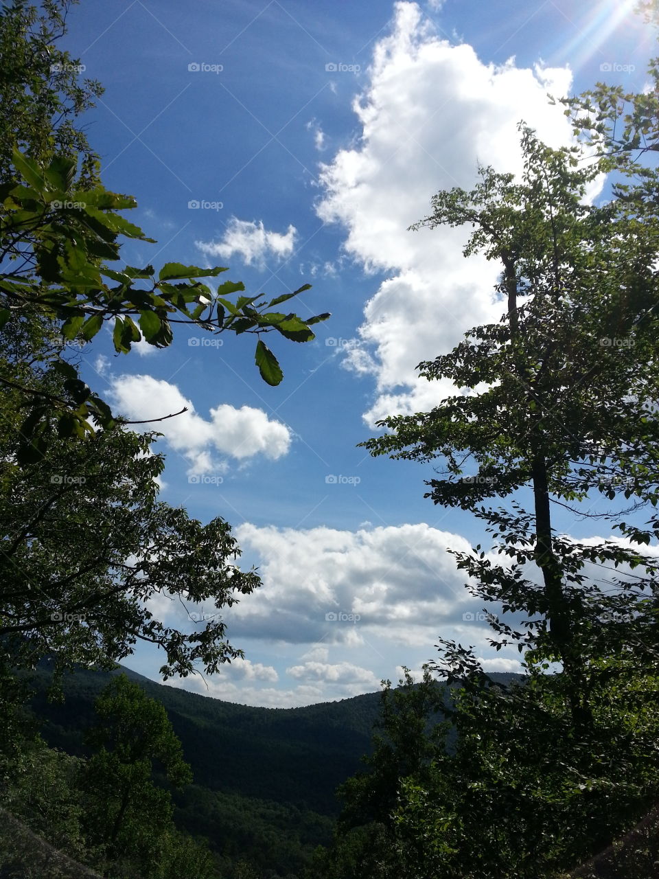 View from Falling Waters