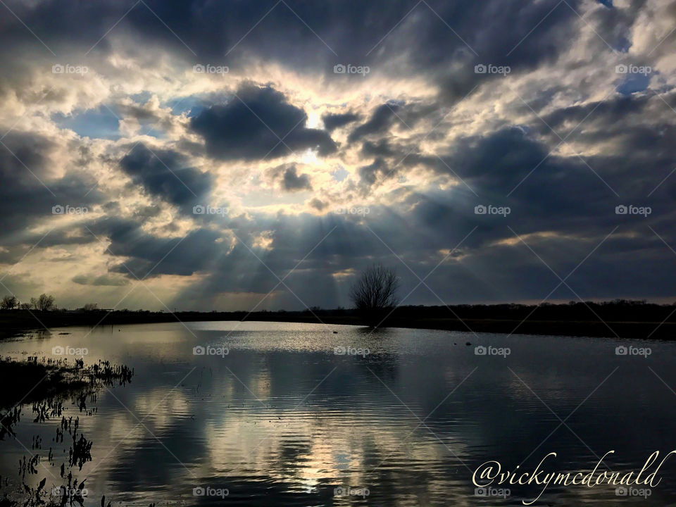 Sunday reflections on the pond. 