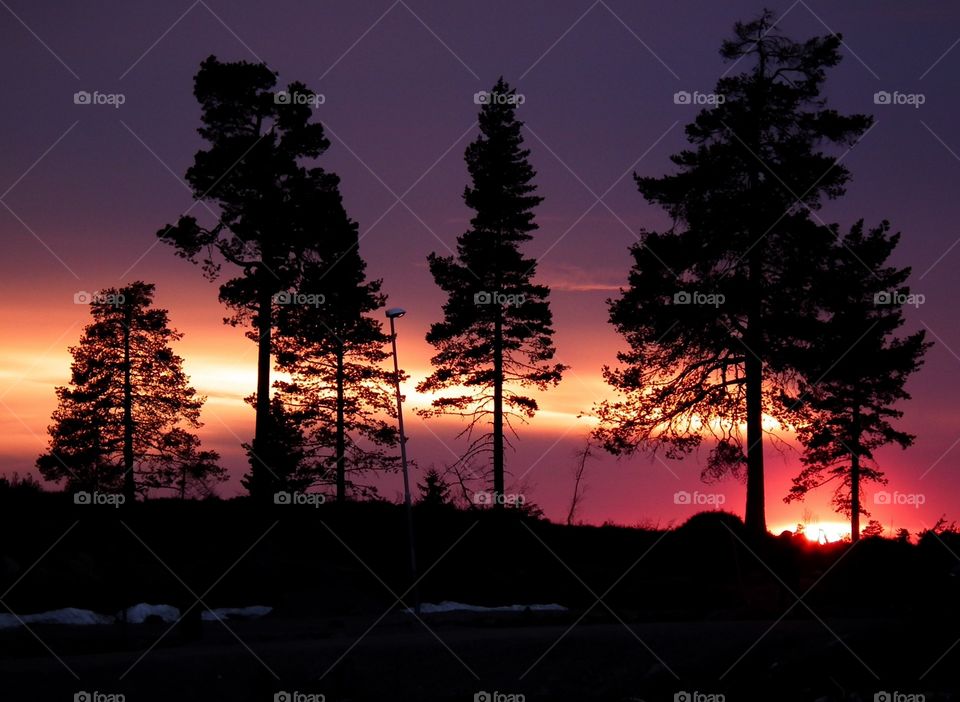 Swedish sunset