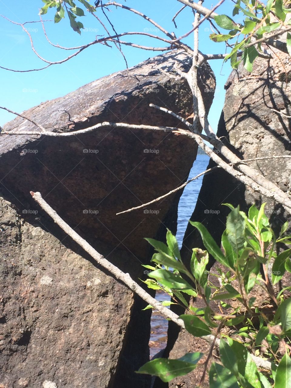 Summer summer summer