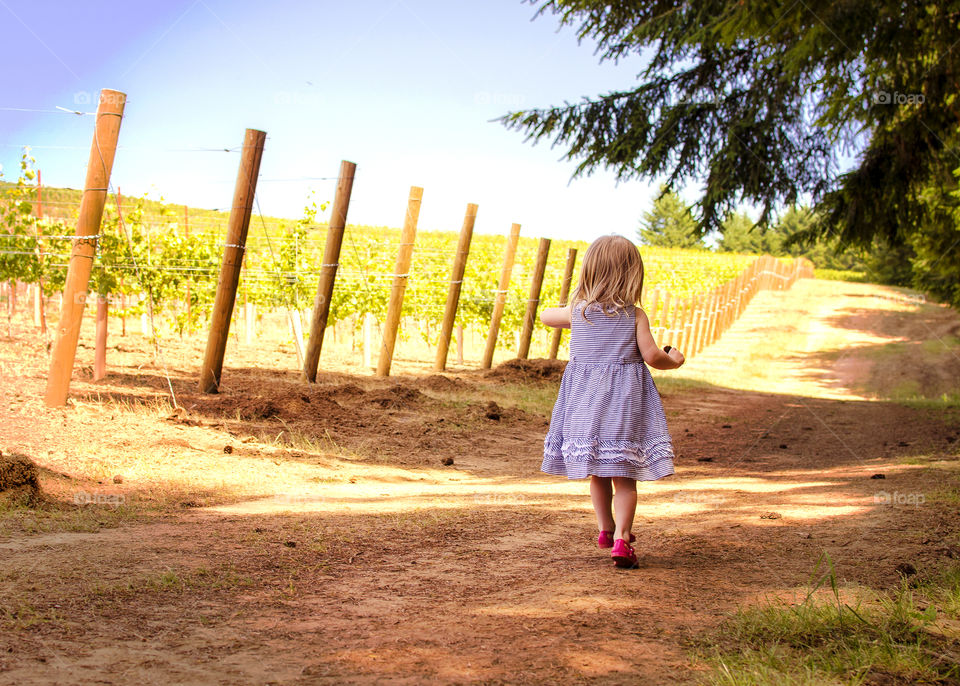 A little girl walking in vineyard field