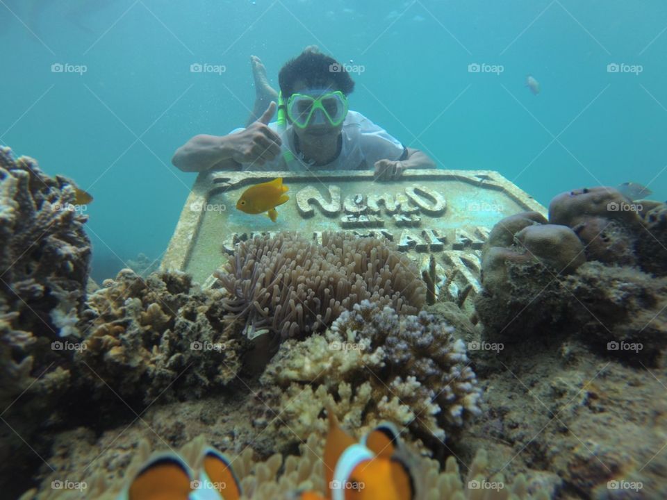 Snorkeling Gili Ketapang - East Java - Indonesia