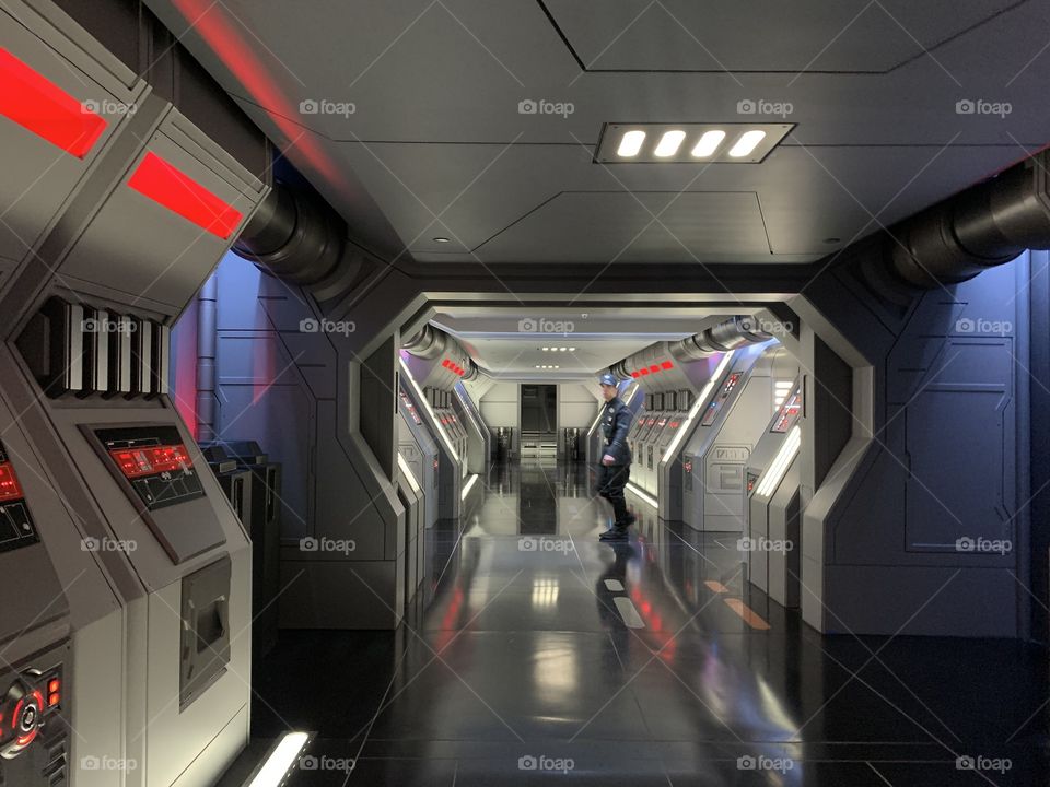 FL themeparks find VIDEOS @selsacamacho TICTOK @Selsa_Susanna IG or https://www.facebook.com/selsa, YouTube Selsa_Susanna mail: 1700 Celebration Blvd, unit 1019, Celebration, FL 34747