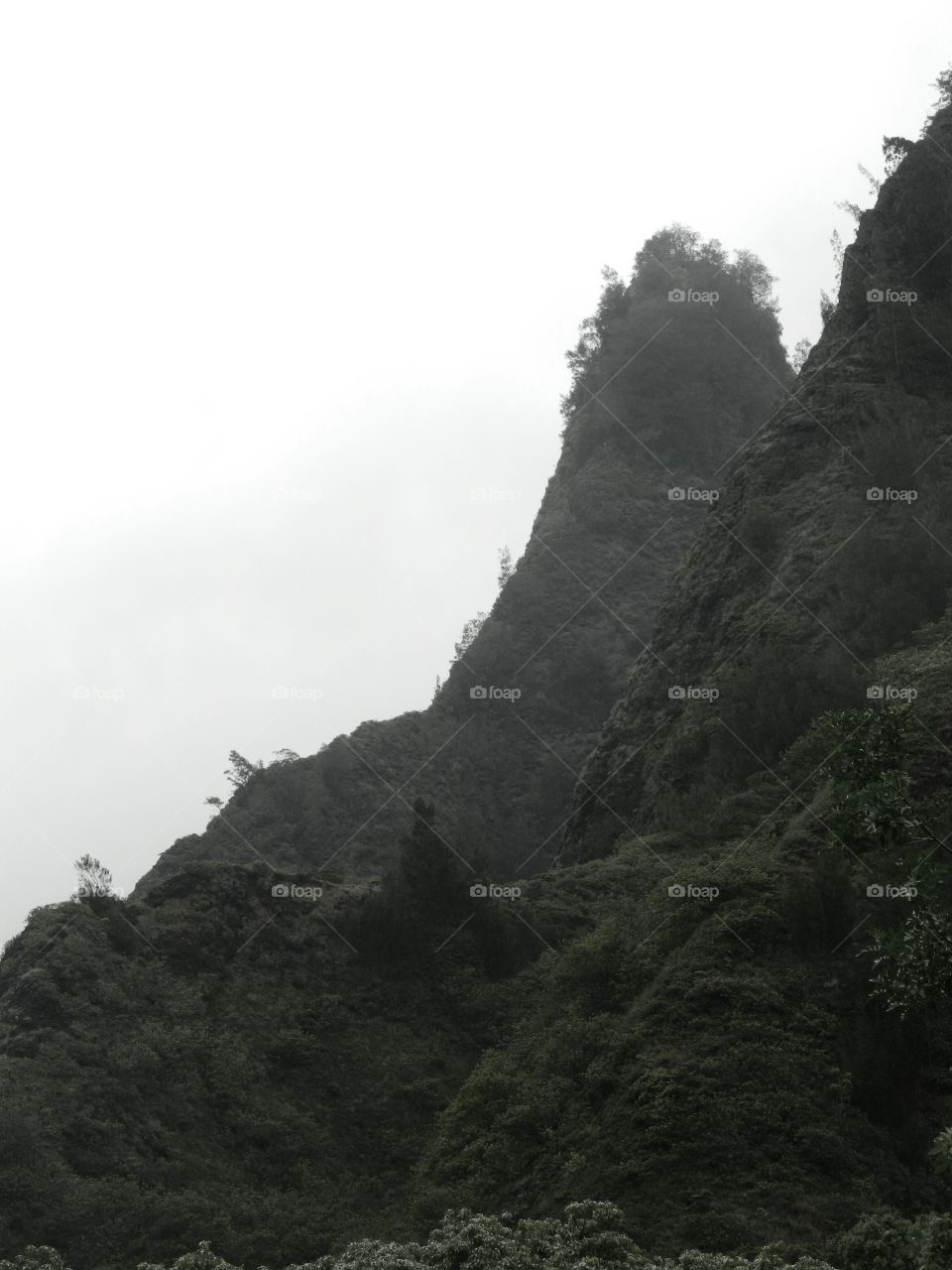 Iao Valley,  Maui, HI