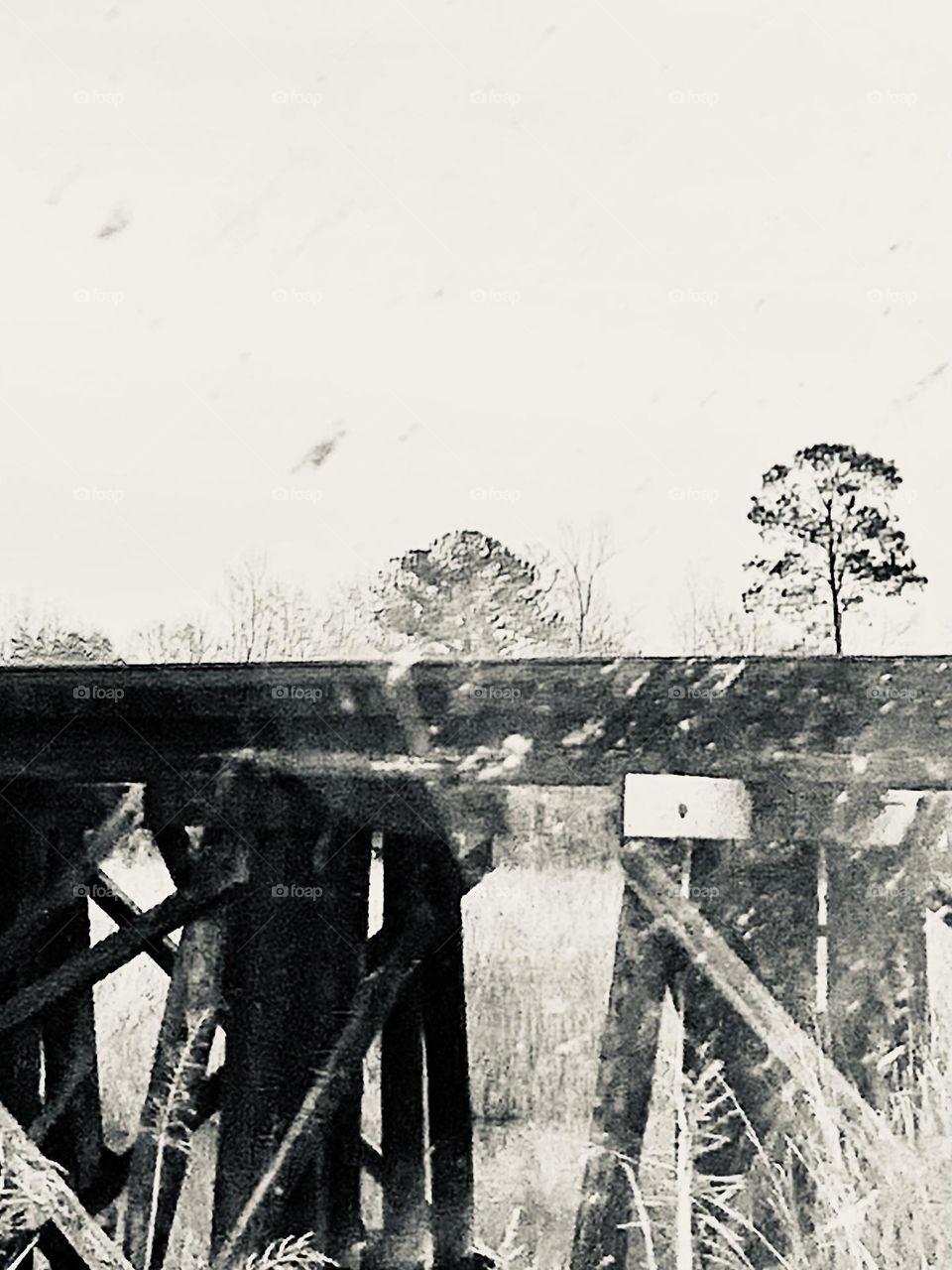 Trestle 